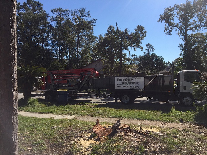 Image for Big City Tree Service, Inc. with ID of: 2120817