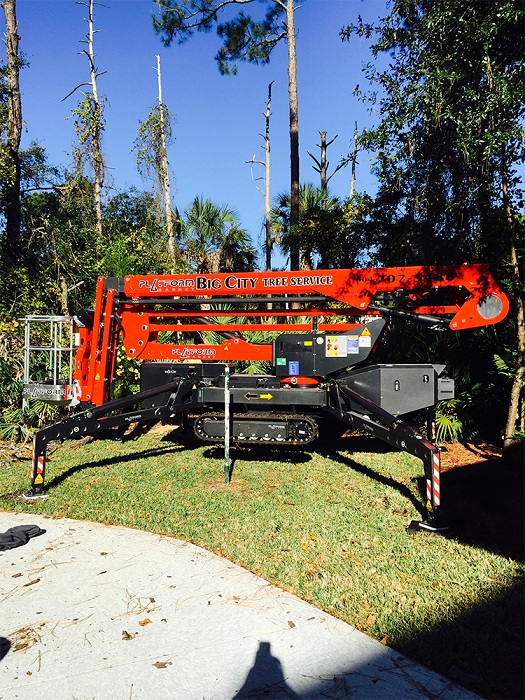 Image for Big City Tree Service, Inc. with ID of: 2120818