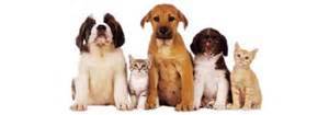 Image for Preferred Pet Sitter with ID of: 2123622