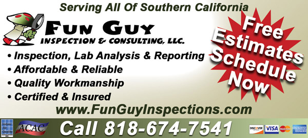Image for Fun Guy Inspection & Consulting LLC with ID of: 2124681