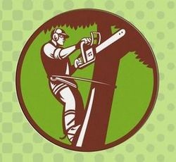 Image for Tree Surgeon Gloucester with ID of: 2124868