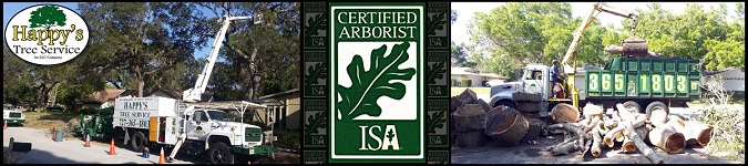 Image for Happy's Tree Service, LLC with ID of: 2125036