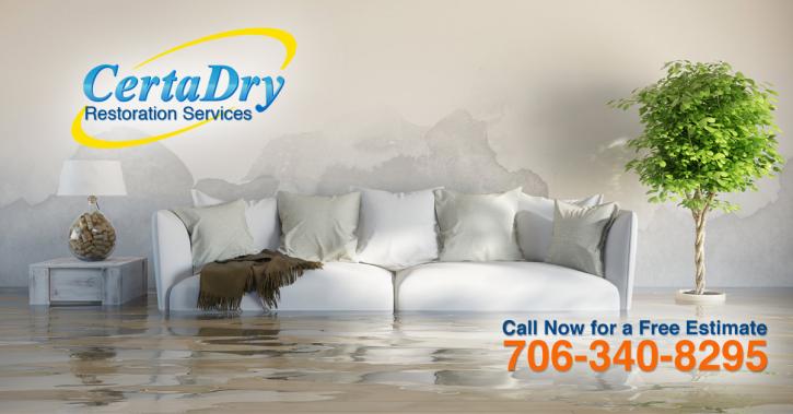 Image for Certadry with ID of: 2128618