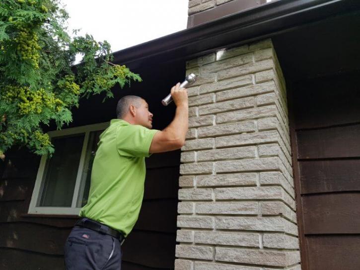 Image for Skedaddle Humane Wildlife Control Barrie with ID of: 2128898