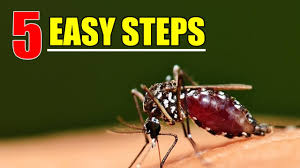 Image for Mosquito Restoration with ID of: 2129731