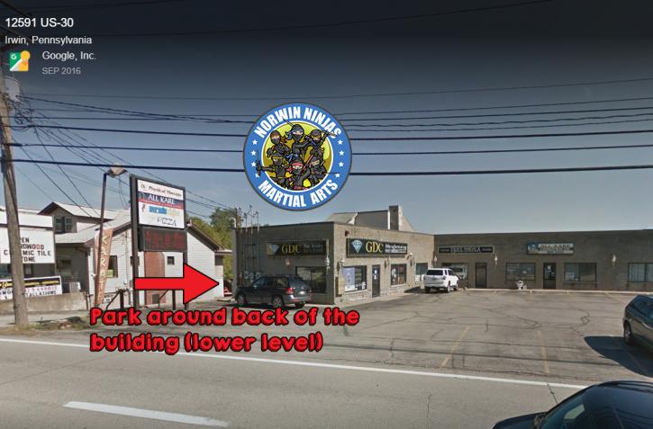 Image for Norwin Ninjas with ID of: 2130348