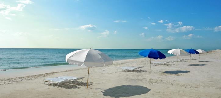 Image for Miami Discount Tours with ID of: 2130370