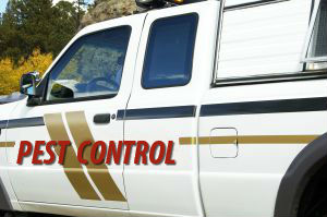 Image for Global Pest Management with ID of: 2134773