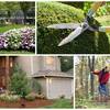 Image for The Grounds Masters with ID of: 2135247