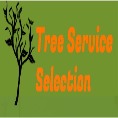 Image for Tree Service Selection with ID of: 2135688