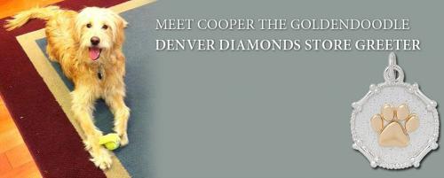 Image for Denver Diamonds and Jewelry with ID of: 2136985
