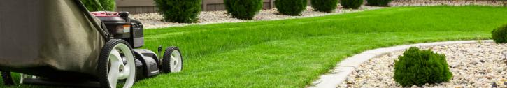 Image for TopCity Lawn Care with ID of: 2141923