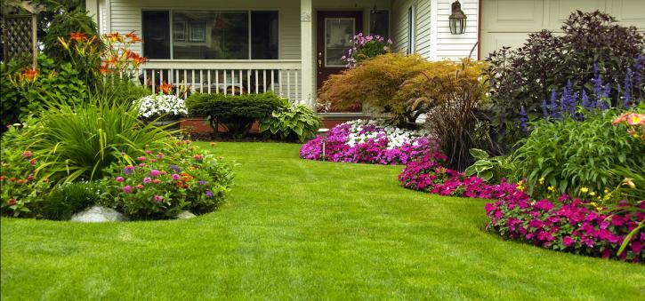 Image for TopCity Lawn Care with ID of: 2141924