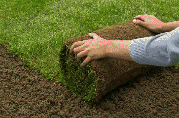 Image for G Landscaping And More with ID of: 2147065