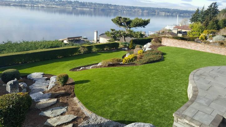 Image for Dream Turf with ID of: 2147257