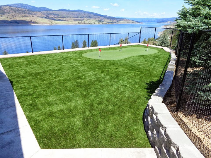 Image for Dream Turf with ID of: 2147265