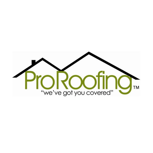 Image for Pro Roofing NW with ID of: 2149308