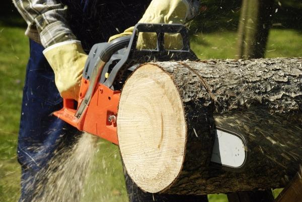 Image for Jon's Tree Service Birmingham with ID of: 2151136