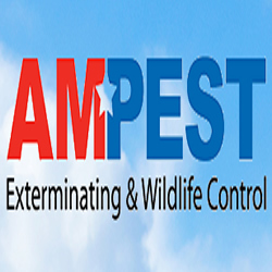 Image for Ampest Exterminating & Wildlife Control with ID of: 2151311