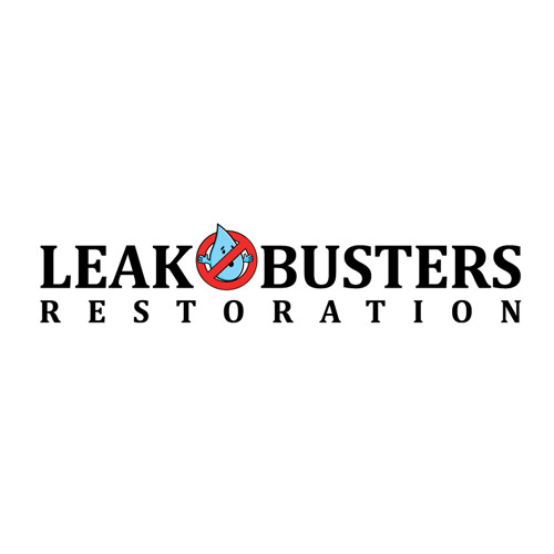 Image for Leak Busters Restoration with ID of: 2151648