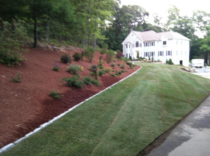Image for Stefano's Landscaping with ID of: 2152937