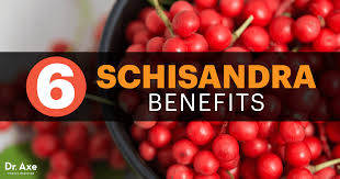 Image for Schisandra Global Industry Report 2017 by Radiant Insights, Inc with ID of: 2153186