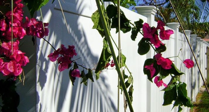 Image for Fencing South Florida with ID of: 2155873