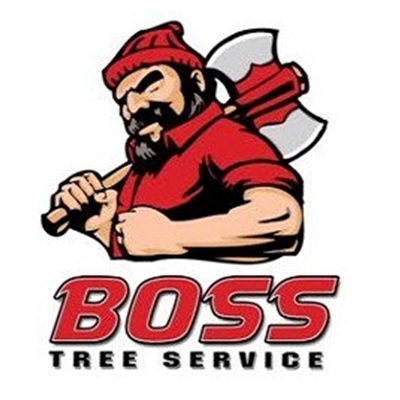 Image for Boss Tree Service with ID of: 2156455