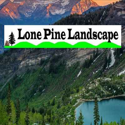 Image for Lone Pine Landscape with ID of: 2156732