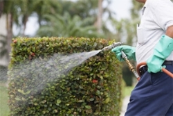 Image for Earl's Pest Control with ID of: 2158055