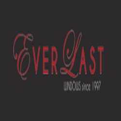 Image for Everlast Windows with ID of: 2158701