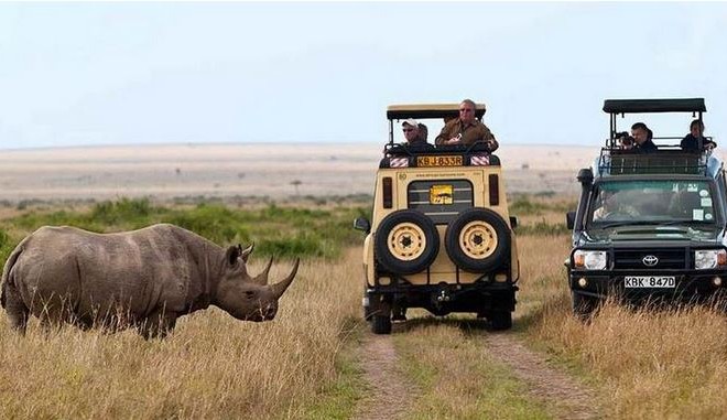 Image for Masai Mara Safaris with ID of: 2160195