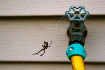Image for Schopen Pest Solutions with ID of: 2160903