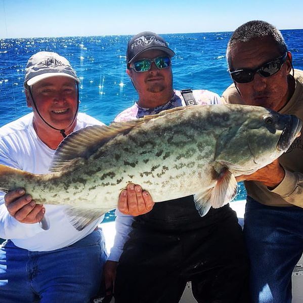 Image for H2o Watersportz with ID of: 2161923