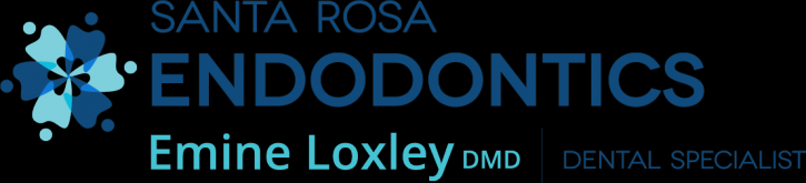 Image for Santa Rosa Endodontics with ID of: 2162568