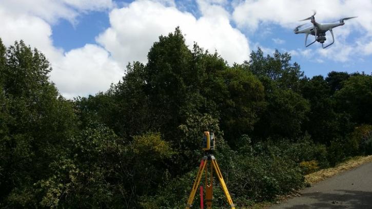 Image for Santa Rosa Surveyor with ID of: 2162966