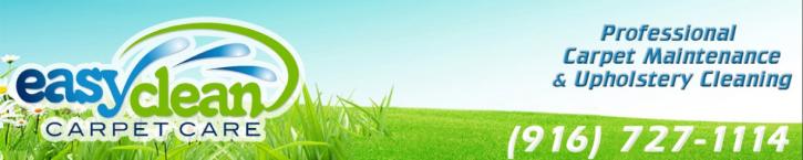 Image for EASY CLEAN CARPET CARE with ID of: 2165227