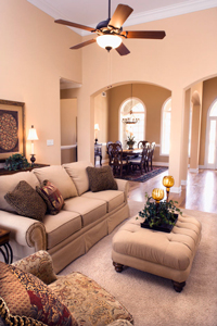 Image for EASY CLEAN CARPET CARE with ID of: 2165229