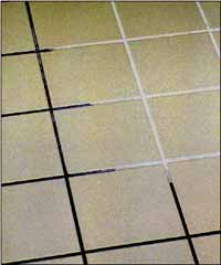 Image for EASY CLEAN CARPET CARE with ID of: 2165230