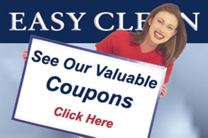 Image for EASY CLEAN CARPET CARE with ID of: 2165232