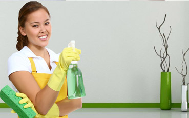 Image for Eco-Way Cleaning & Organizing Solutions with ID of: 2167121