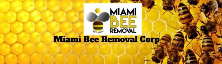 Image for Miami Bee Removal Corp. with ID of: 2167390