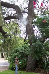 Image for Miami Bee Removal Corp. with ID of: 2167393