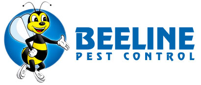 Image for Beeline Pest Control with ID of: 2169323