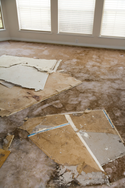 Image for Act Fast Water Damage Restoration with ID of: 2170431