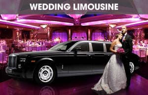 Image for Long Island Limo Service with ID of: 2171338