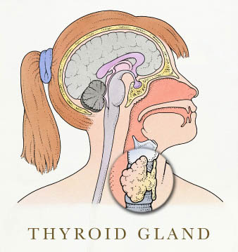 Image for Thyroid Doctor Miami with ID of: 2171627