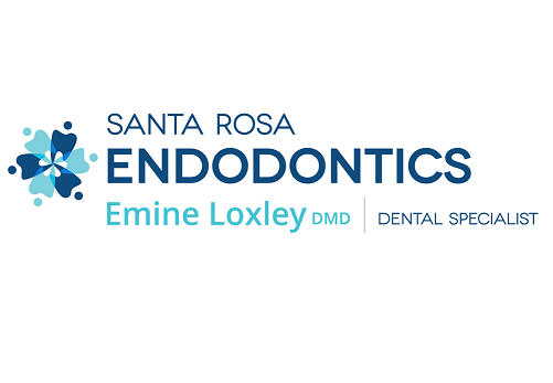 Image for Santa Rosa Endodontics with ID of: 2171718