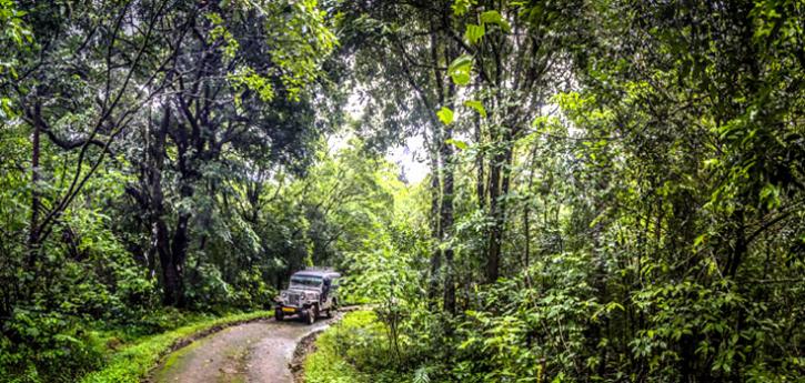 Image for Make a fascinating trip to Kerala - Explore your holidays with ID of: 2172266