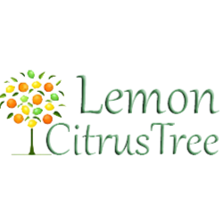 Image for Gifted Forest LLC with ID of: 2173139